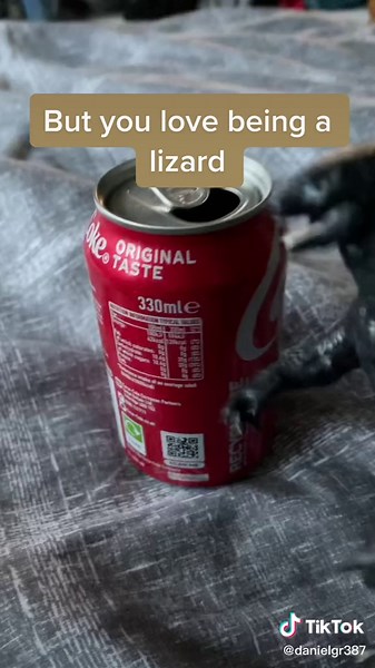 Farting After Potion: A Shrek 2 Comedy Moment