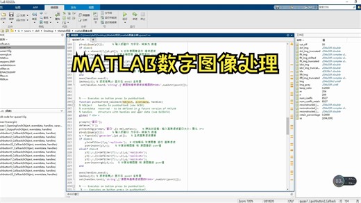 MATLAB数字图像处理，图像去噪