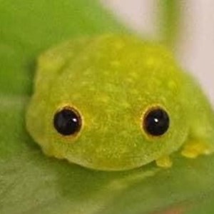 OfficialMistyLive - Twitch