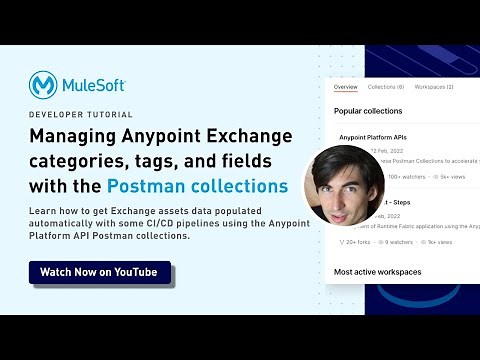 Managing Anypoint Exchange categories, tags, and fields | Anypoint Platform APIs Postman collections