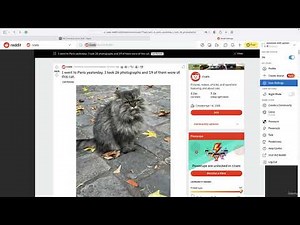 Scrape Reddit Post and Comments | Automate Everything with Python