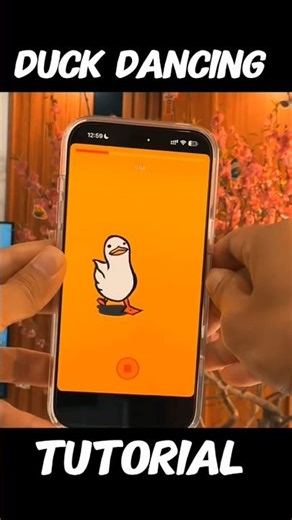 New tutorial duck dancing