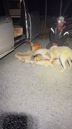 664 reactions · 76 comments | Den dagen da du gjerne skulle ønske du...