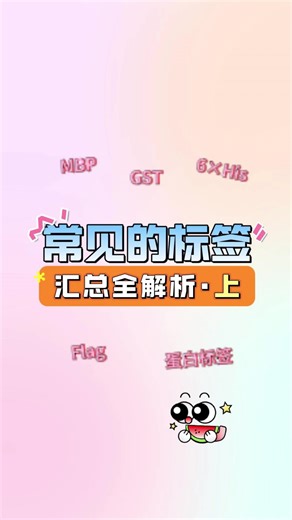 小巴科普|常见的标签汇总全解析·上