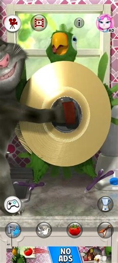 Talking Pierre Parrot Hit With Cymbals By Talking Tom
