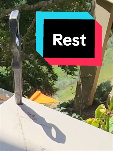 California Pest Control: ASMR Damage Inspection