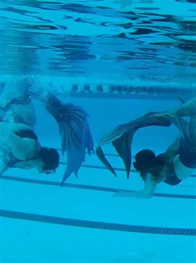 Flipping around with my favorite fish from Jan 2025! These are some of my first swims! #mermaid #performer #swim #padi #fyp