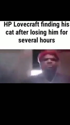 HP Lovecraft finding his cat after loosing him for several hours