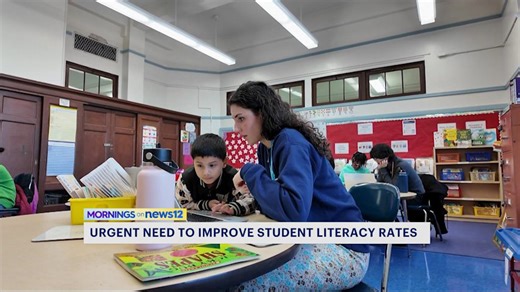 Reading Partners working to improve literacy rates in NYC Public Schools