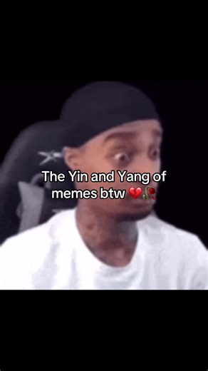 Exploring the Yin and Yang of Memes