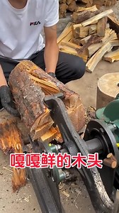 Wood Gets Shredded Like Never Before 🔥#shorts Watch how a powerful machine shreds solid wood into pieces in seconds 🔥🪵 This insanely satisfying wood cutting process will keep you hooked till the end! Follow for more extreme wood cutting and machine action videos. #WoodCutting #WoodShredding #SatisfyingVideo #MachinePower #WoodProcessing #FactoryProcess #ExtremeCutting #OddlySatisfying #ReelsVideo #TrendingReels | Prime Wood Studio