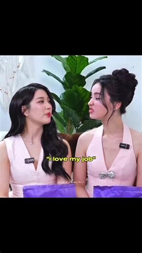 Why People Love Their Jobs: Joyful Experiences in Work