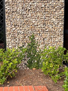 DIY How to Assemble Garden Gabion Baskets PDF Plans Box Enclosed Woven Wire Steel Mesh Spiral Binder Retaining Wall Design Instant Download - Etsy