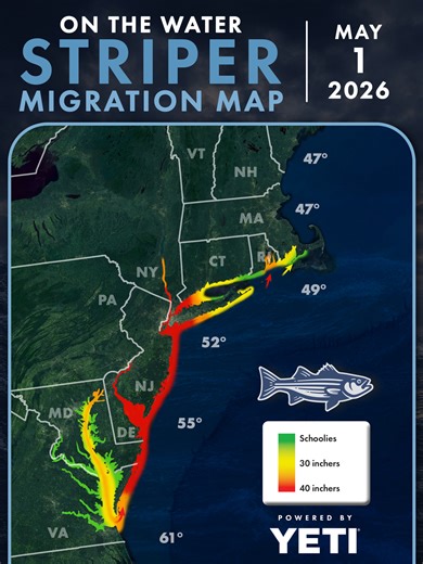 Striper Migration Map - May 1, 2026 - On The Water