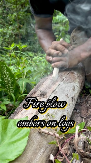 Fire plough embers on log #fireplough #primitivefirelighting #fireskills #outdoors #survival #selfsufficiency #bushcraft #survivalfire | Dalem Gumino
