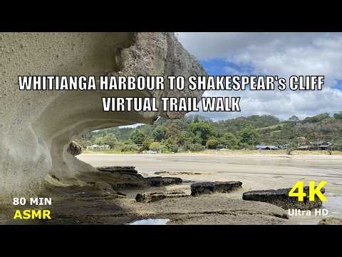 Virtual Walk for Treadmill – 7.4km Coastal Walk | Whitianga to Shakespeare’s Cliff