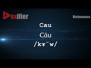 How to Pronounce Cau (Câu) in Vietnamese - Voxifier.com