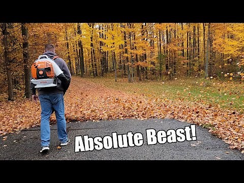Stihl BR 800 X Magnum Is A Beast! 912 cfm & 239 mph Equals Crazy Power