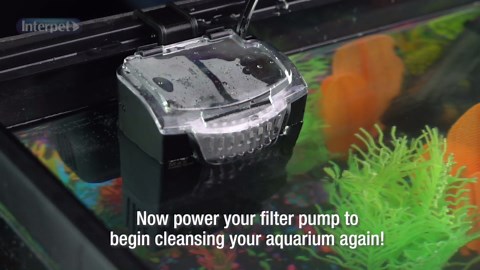 Interpet Life Flow Internal Power Filter Replacement Cartridge, 3 Pack