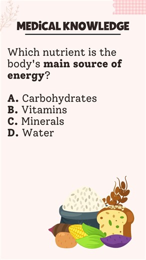 Which nutrient is the body's main source of energy?