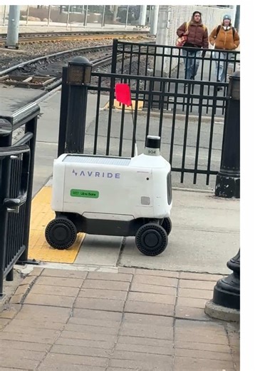 Exploring the Future of Food Delivery with Robots