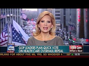 Shannon Bream brown pantyhose Amer. Live 01 03 11 HD