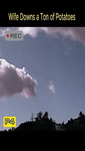 Kelly's Journey: Conquering Food Fears and Cravings