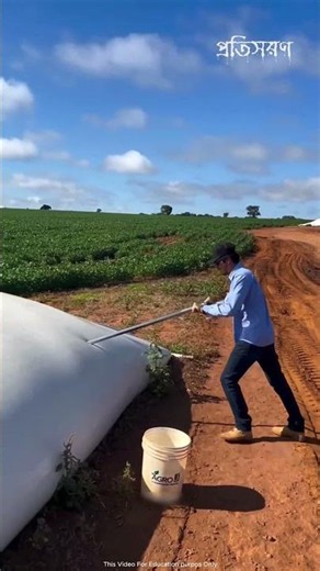 Farmers are obsessed with this technique #farmlife #agriculture #trending