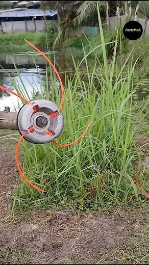 Why Is Lawn Grass Trimming With A String #shorts #ytshorts