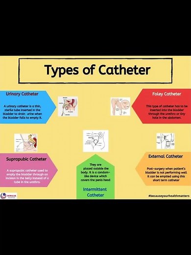 "ALL ABOUT CATHETER "- COLOUR, SIZE, and TYPES. ANM STUDENT MUST WATCH 👍👍