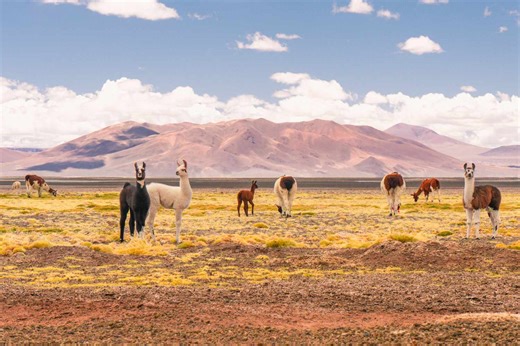 The Driest Desert in the World Has Stunning Salt Flats, Epic Stargazing, and Scenic Trails