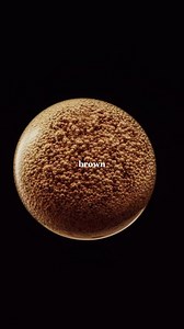 you already know what color we’re rocking this fall | UPS