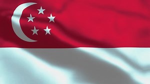 Singapore Flag Waving Wind Seamless Loop Stock Footage Video (100% Royalty-free) 1108007627 | Shutterstock