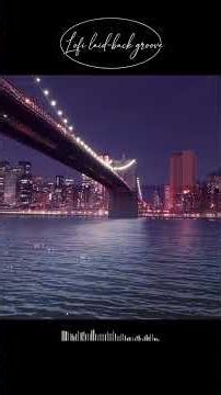 Track 3.Blinking Signal l Lofi laidback groove l #2 New York Night View