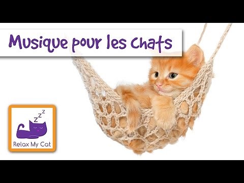 Musique pour Chats et Chatons - relaxation musique spécifiquement pour les chats