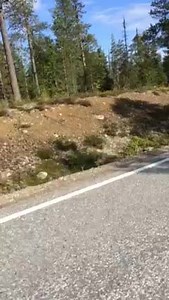 What....? did i just saw Batman on bicycle.. | Sampon Matka