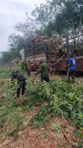 Bốc 11 Người Mà Dưới 32 Thì Dẹp Mẹ Chứ Làm Ăn Gì Nữa🤣🤣🤣