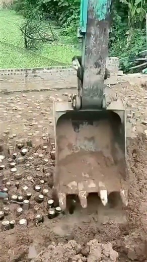 the process of planting several bamboos using tools to speed up the planting process#shorts