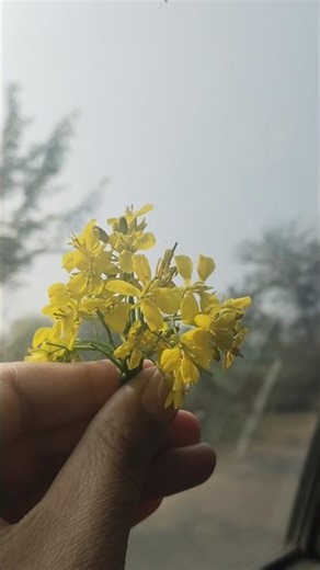 traveling time 😊 #travel #youtubeshorts #trending #viralvideo