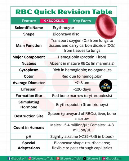 🔴 RBC Quick Revision – Fast Facts for Exams! From oxygen delivery to CO₂ removal, your Red Blood Cells (RBCs) work nonstop to keep you alive. 🫁💨 📌 Learn the shape, size, lifespan, and quick exam points in under 30 seconds! 🎯 Perfect for UPSC, SSC, Railways & State PSC aspirants. #RBC #RedBloodCells #BiologyFacts #GKBooks #UPSCPreparation #SSCPreparation #RailwayExam #StatePSC #ExamGK #BiologyForExams #ScienceGK #CompetitiveExams #StudySmart #GKForAll #BloodFacts | InfoPic Notes
