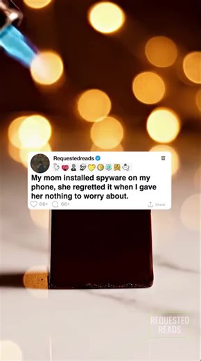 My Mum's Spyware Regret: A Crazy Reddit Story