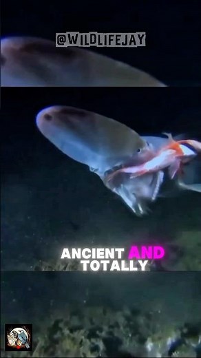 The Goblin Shark: A Real-Life Nightmare