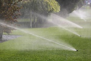 How Long Should Each Sprinkler Zone Run — Residential Lawn Care Reno & Sparks | Cory’s Lawn Service