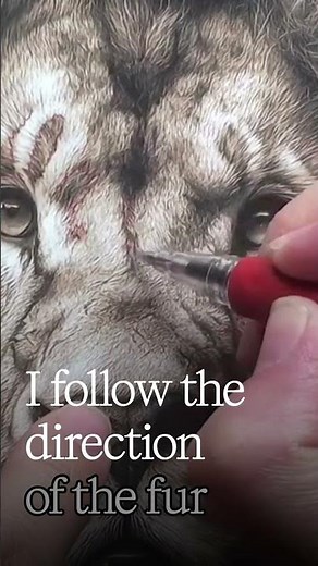 Draw Fur Like a Topography Map #pyrography #woodburning