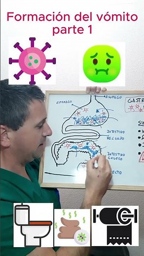 Así se forma el vómito y la diarrea en una gastroenteritis vírica parte 1