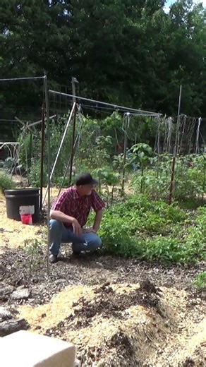 No plan for the garden