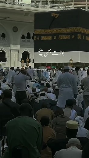 12K views · 1.5K reactions | The history of #photography began with...