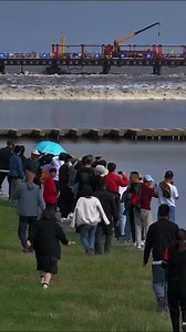 A Symphony of Tides #TidalSymphony #QiantangRiver #NatureMusic #WaveRhythm #WaterHarmony | Qiantang style