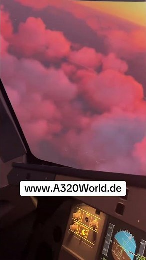 Beauty of A320World #a320 #cockpit #aviation #flightsimulator #pilot #plane #münchen #deutsch