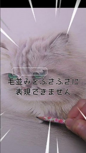 【リアル色鉛筆画】ふさふさの毛並みの猫 #色鉛筆 #リアル色鉛筆 #cat #猫 #ふさふさの毛並み